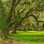 Avery Island