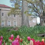 Cheekwood Estate & Gardens