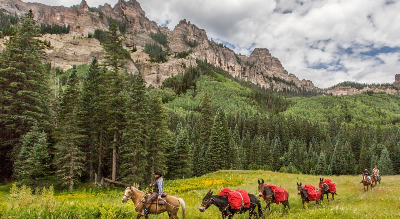 The Wedding Website of Meghan Knowles and Yana Pollard