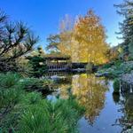 Hakone Estate and Gardens