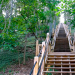 Mount Baldhead Park Trail