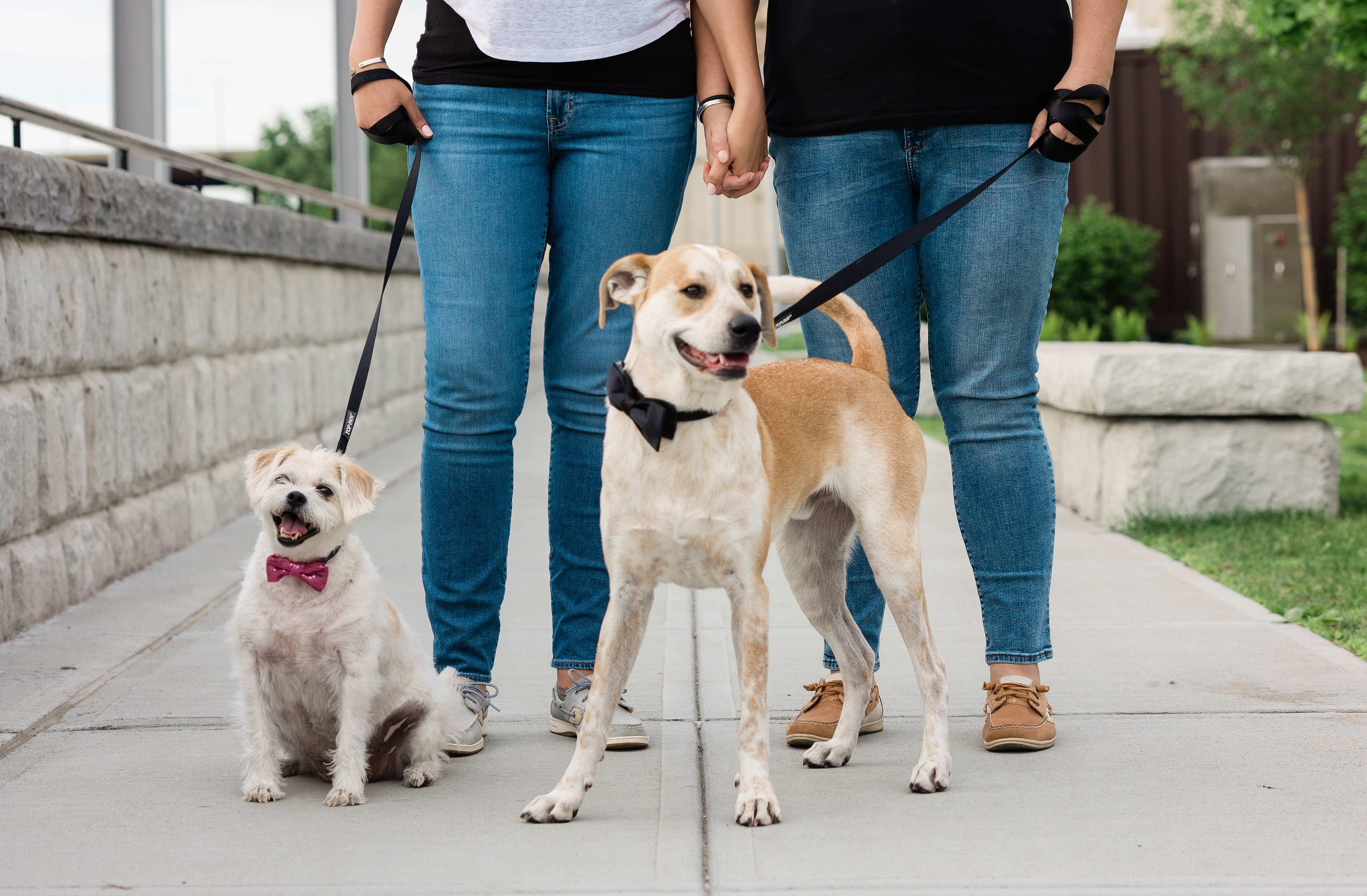 The Wedding Website of Amy Giammattei and Gabriella Rounds