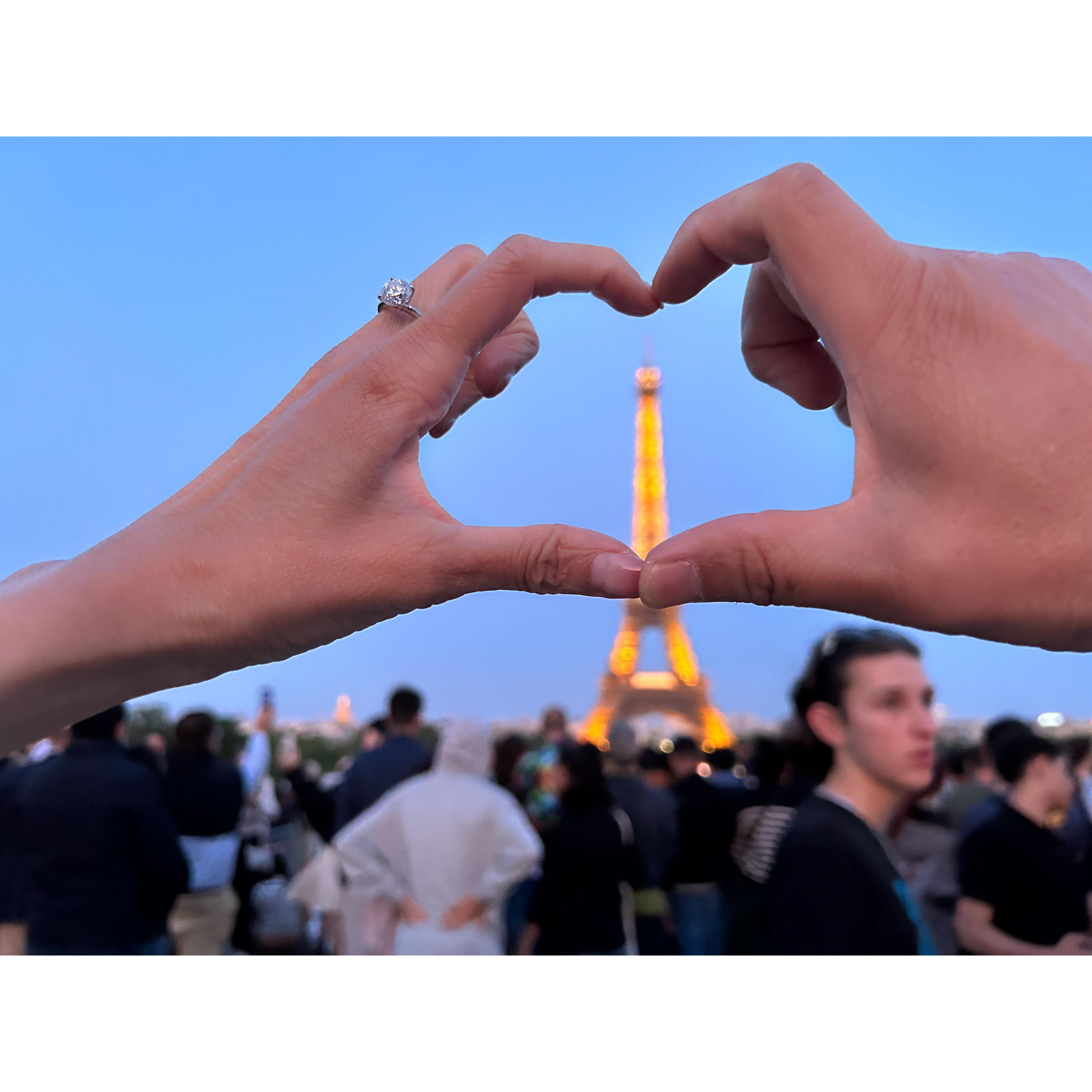Proposal in Paris, France