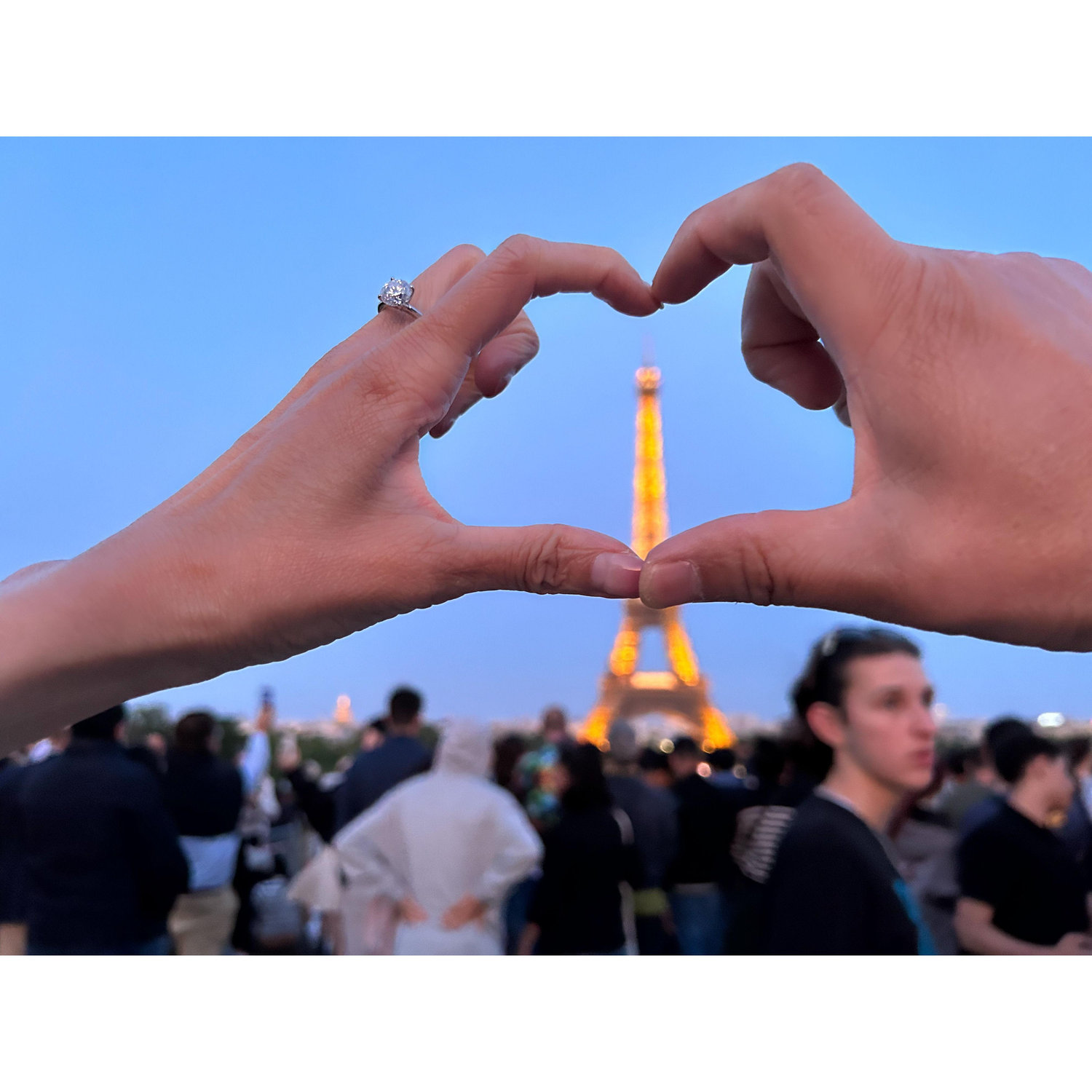 Proposal in Paris, France