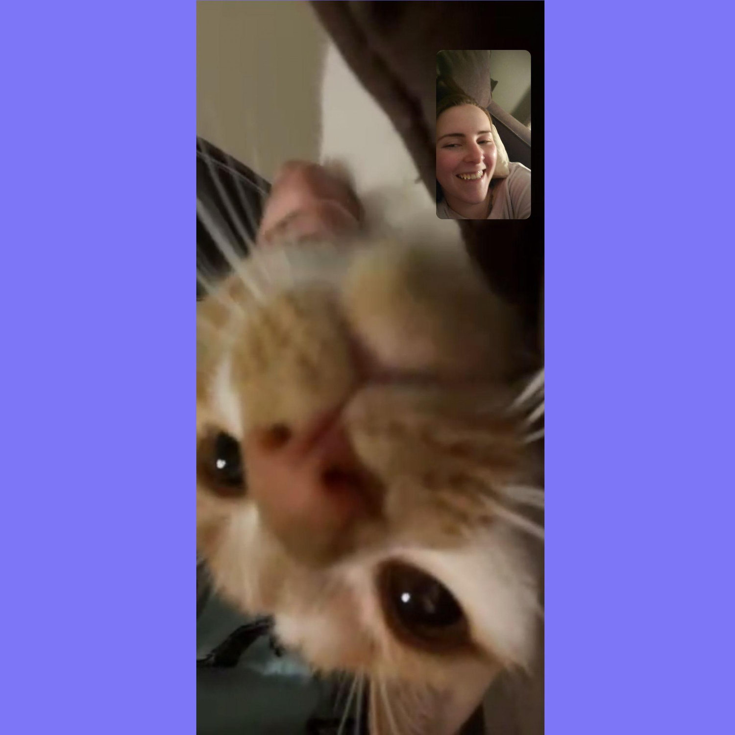 Sometimes our long distance video calls were crashed by mysterious beasts