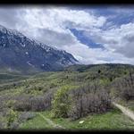 Hike - Bonneville Shoreline Trail