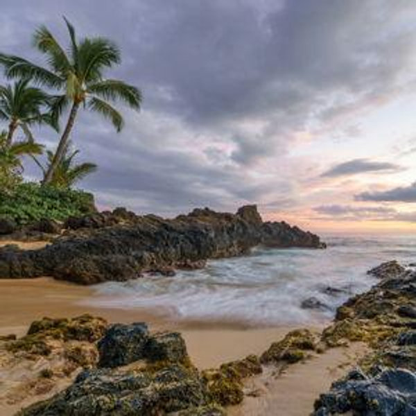 Contribute to our honeymoon to Hawaii