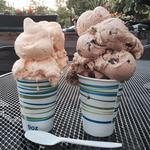 Nelson's Ice Cream