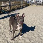 Ocean City Boardwalk & Beach