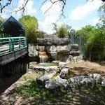 ZooTampa at Lowry Park