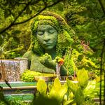 Atlanta Botanical Garden