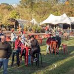 Attend a Concert at Salvage Station