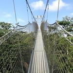 Lekki Conservation Centre