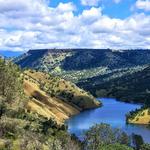 Millerton Lake Pincushion hiking trail