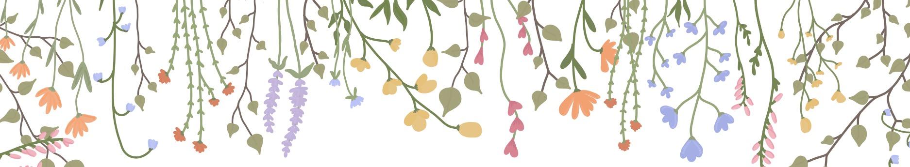 The Wedding Website of Lucy Marolt and Zak Holt