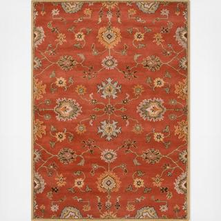 Transitional Oriental Nantes Rug