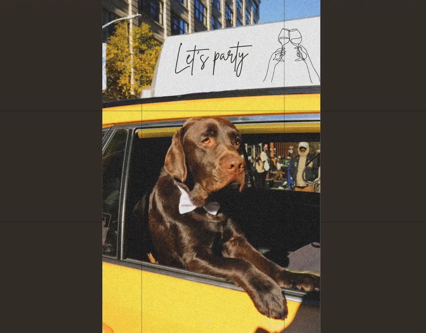 The Wedding Website of Alexa Schweitzer and Alexander Lyon