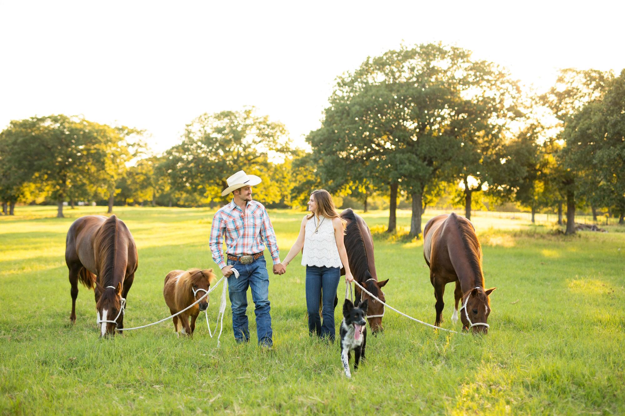 The whole herd. Troubadour, Roo, Zali, and Strider.