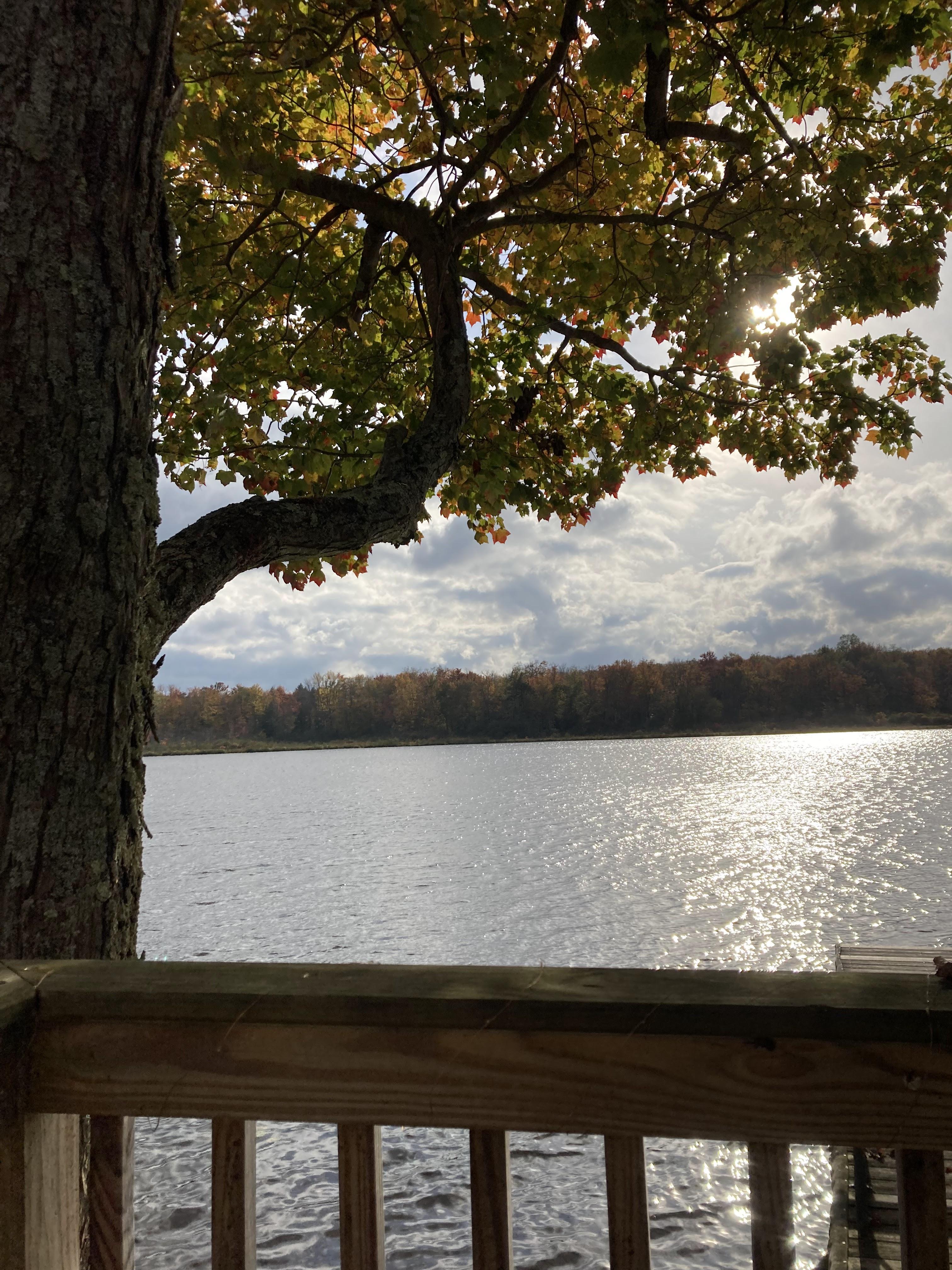 The Wedding Website of Kolby Baker and Austin Russell