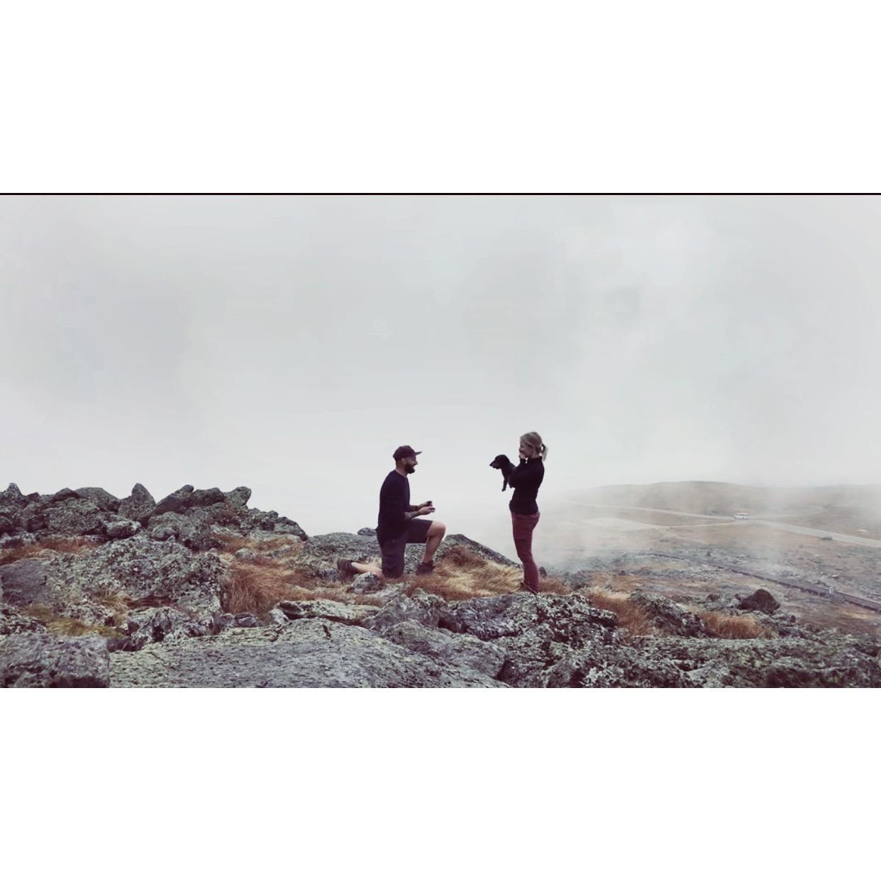 She said yes!