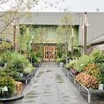Devon Yard