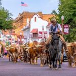 Fort Worth Herd