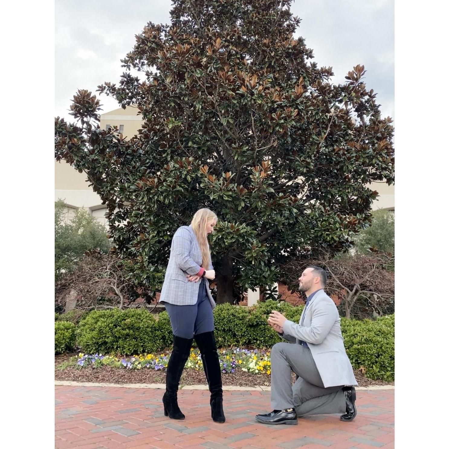 January 26, 2020
Kyle proposed after an "impromptu" photo shoot in front of the large Magnolia tree on MS State campus.