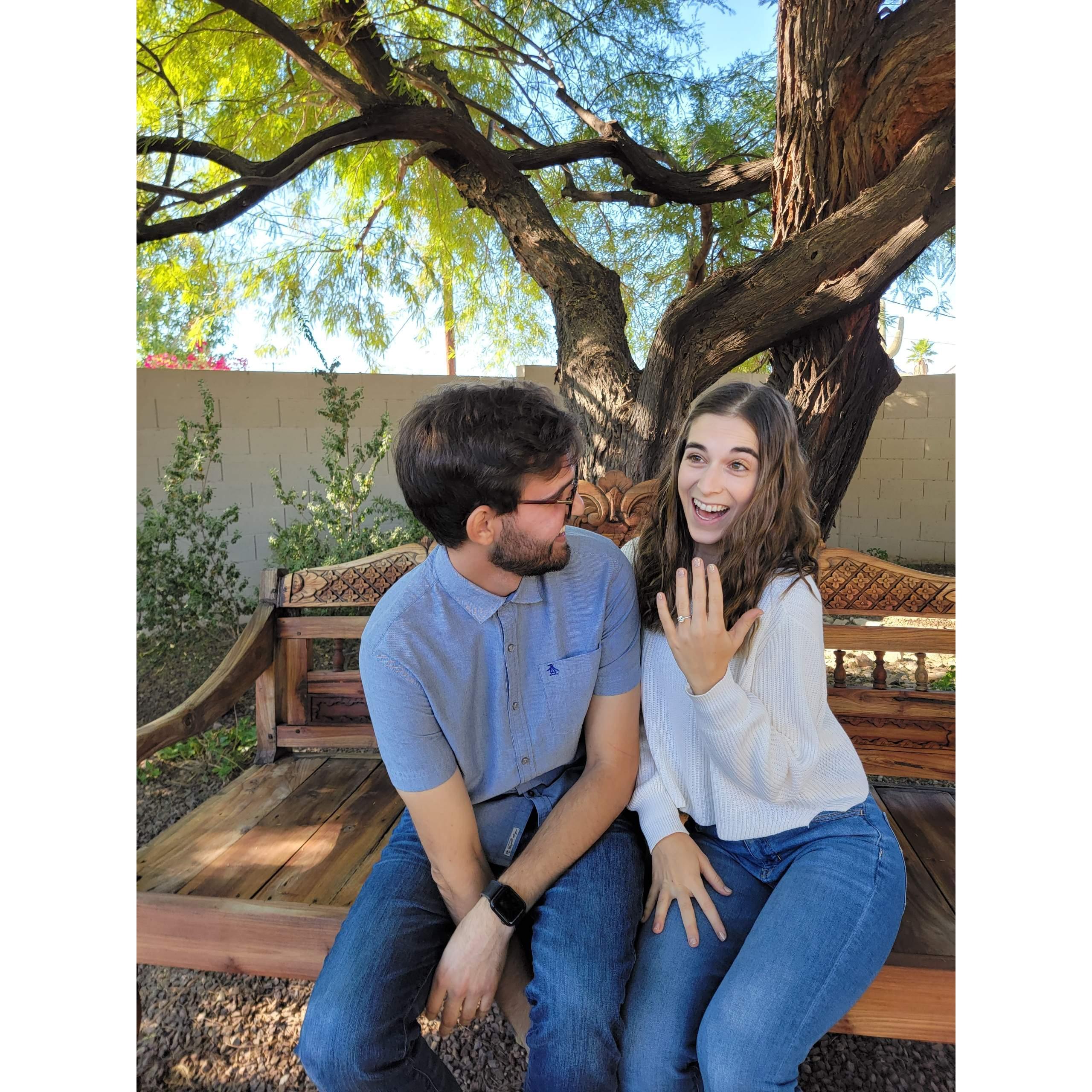Thanksgiving 2021 - Proposal Day