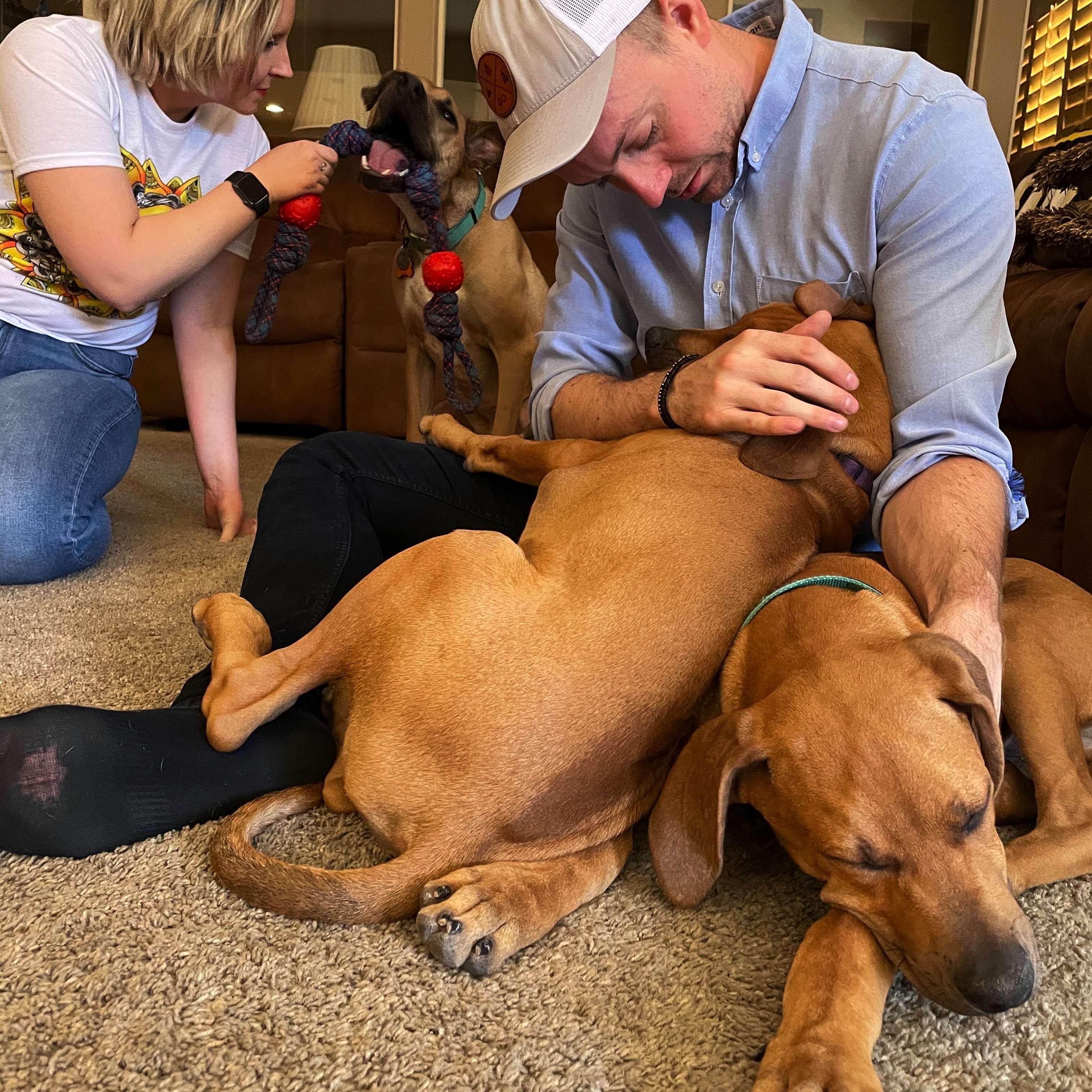 Family pups 🐕 we are clearly going to be a dog family 🐶