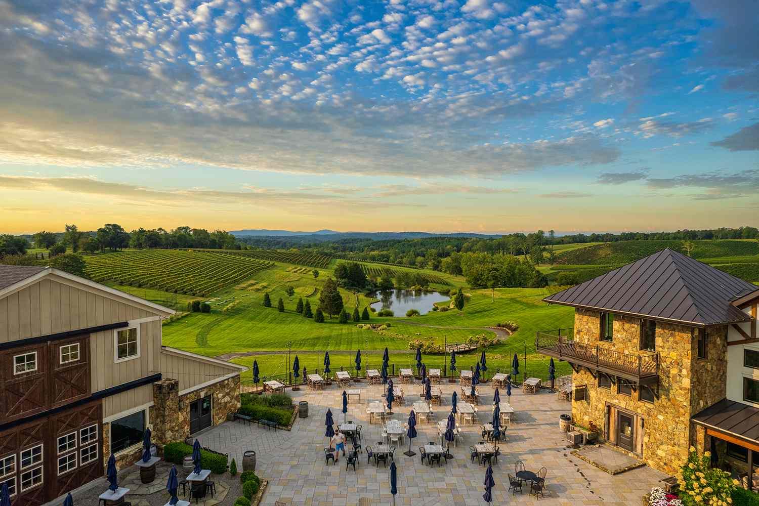 The Wedding Website of Sophie Greenberg and Zarek Stafford