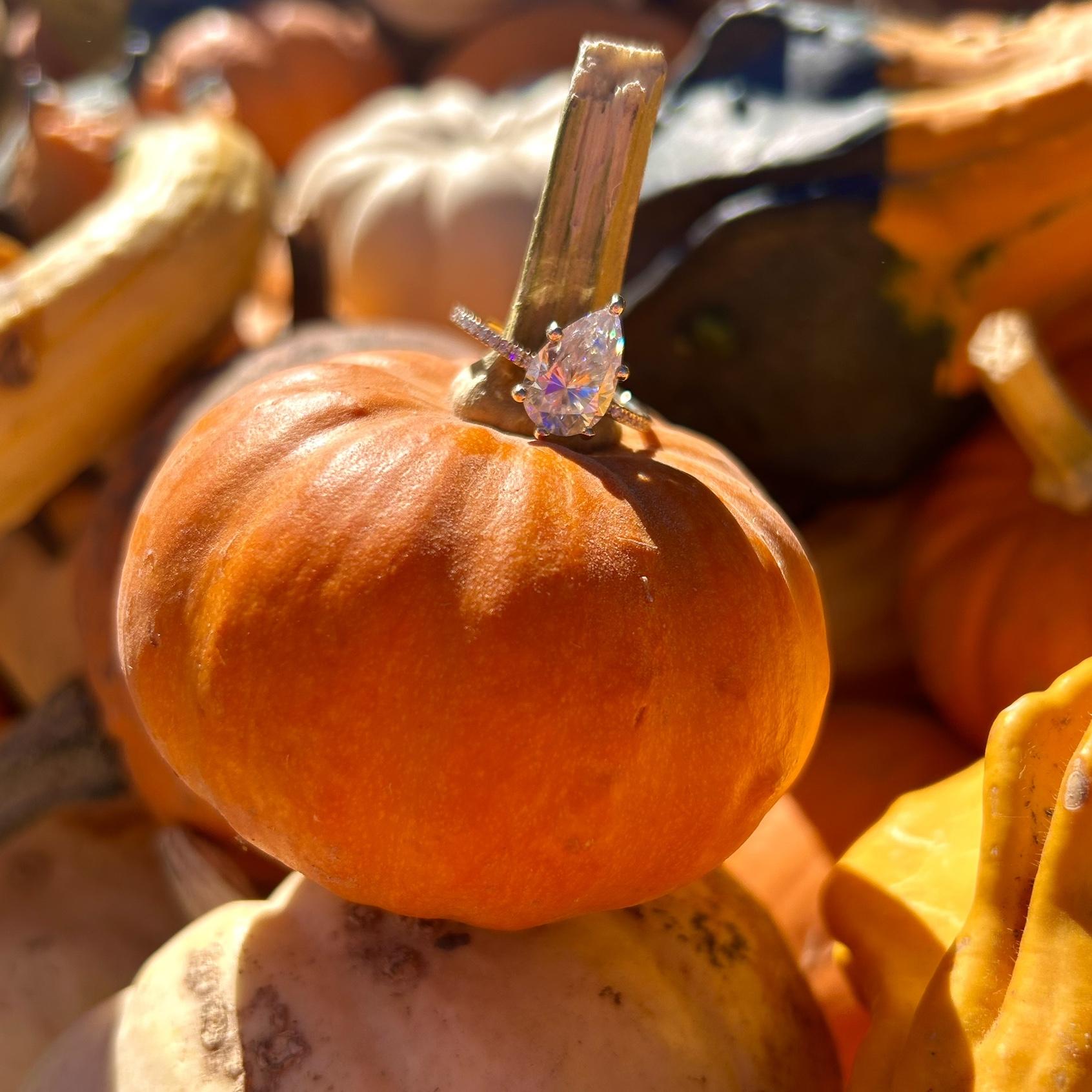 Caylin Marie Holmes and Samuel Steven Thielke's Wedding site