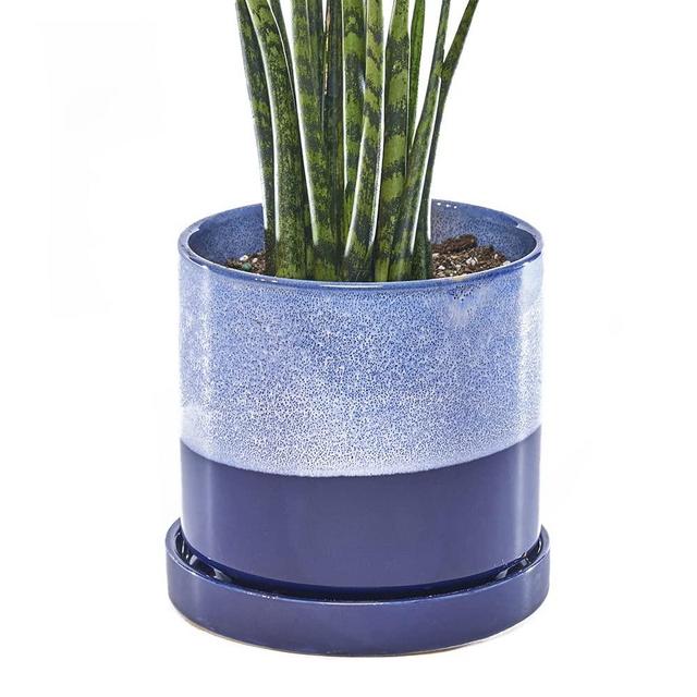 CHIVE ‘Minute’ Ceramic Planter Pot — Cute 5” Colorful Succulent Pots for Indoor & Outdoor House Plants — Beautiful Modern Farmhouse Kitchen Decor — Cobalt Blue