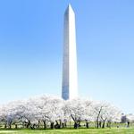 Washington Monument