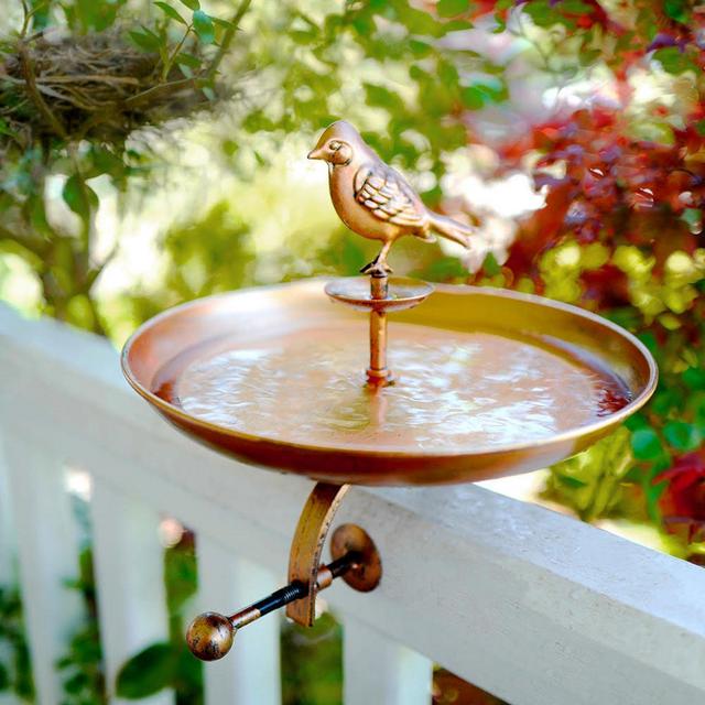 Bird Bath & Butterfly Oasis Pollinator...