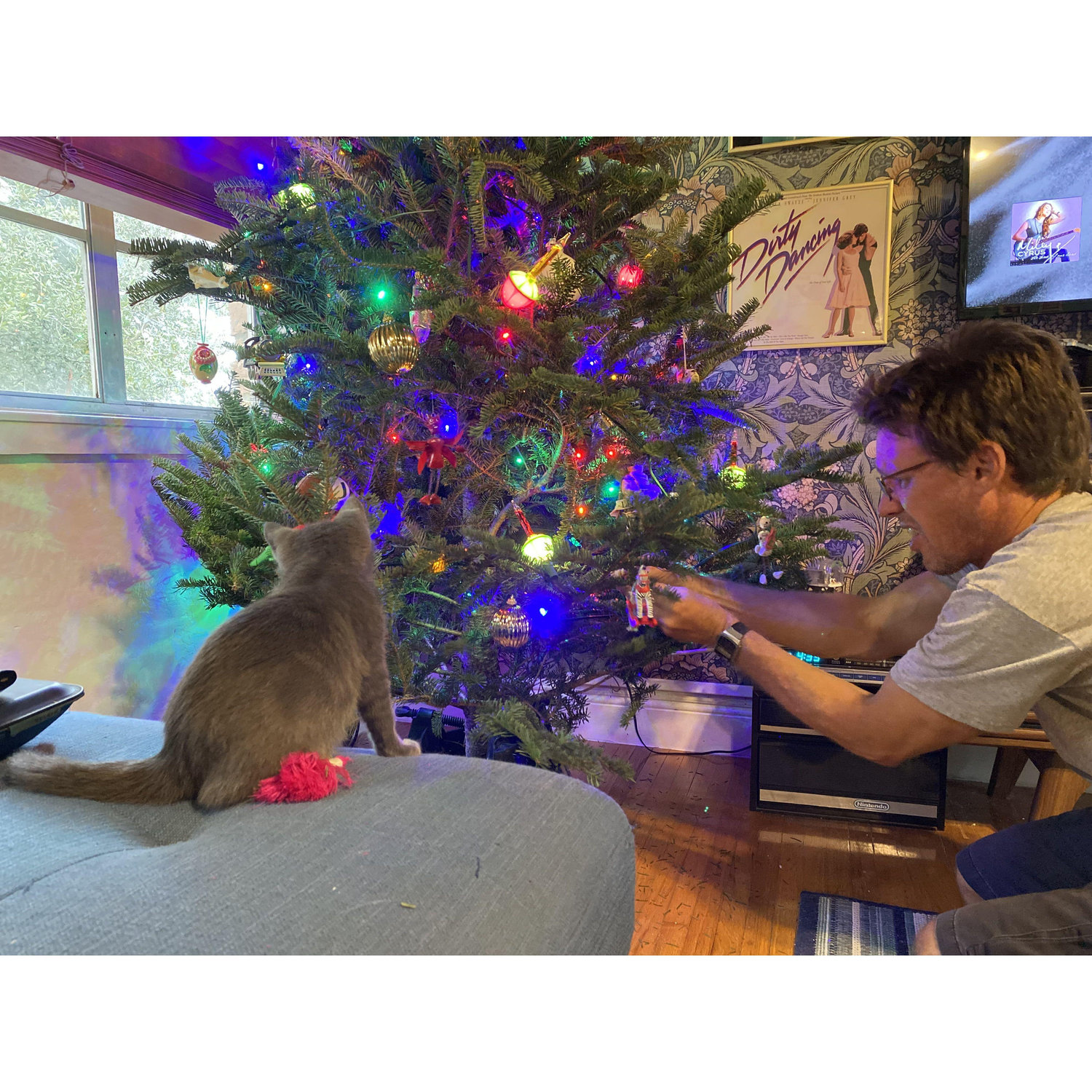 Getting ready for Christmas while Thunderball the cat serves as supervisor.