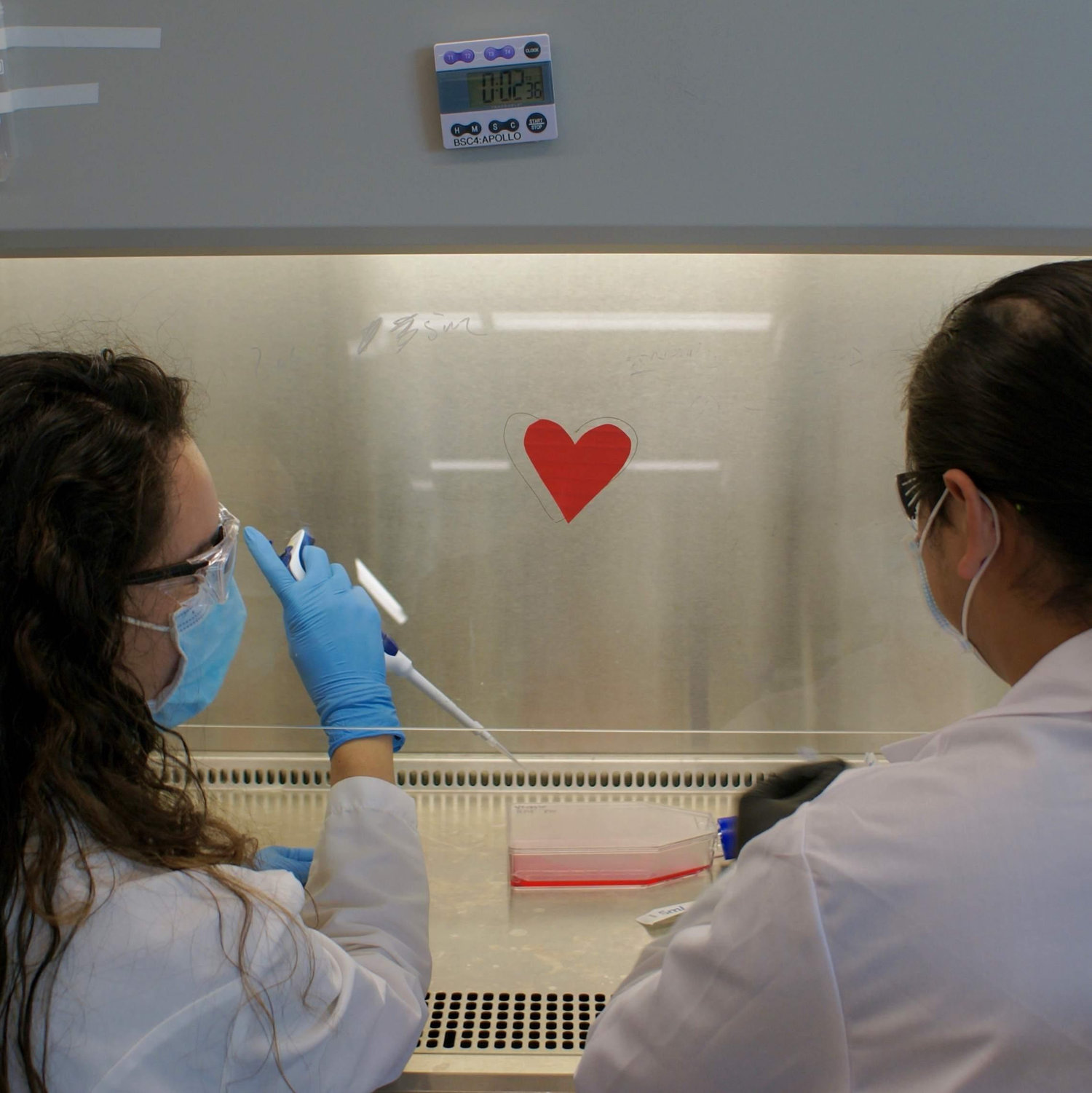 First comes lab, then comes love! (November 2021)