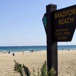 Bradford Beach
