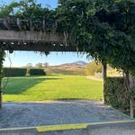 William Hill Estate Winery