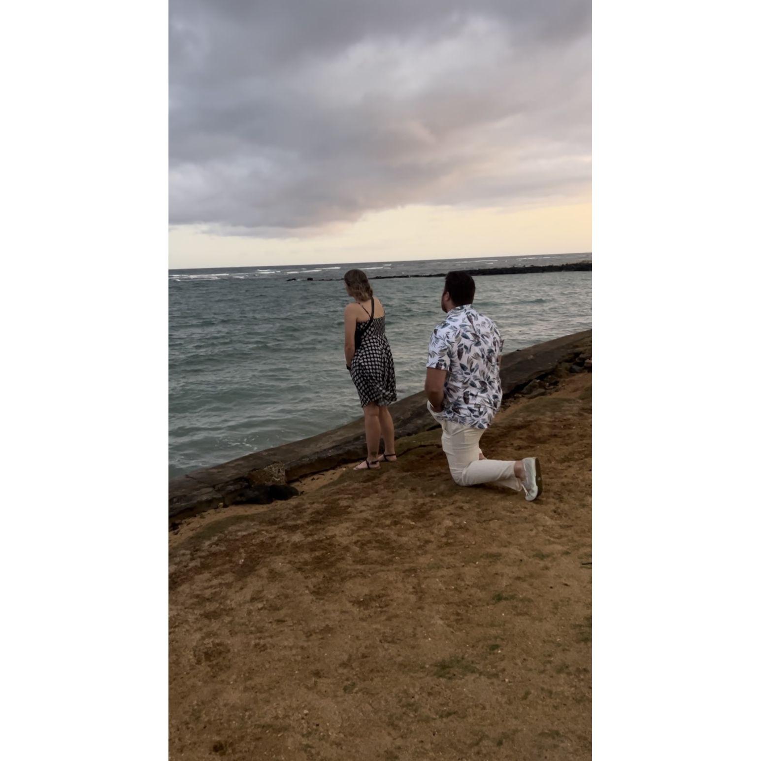 The proposal on their Hawaii trip in 2024.