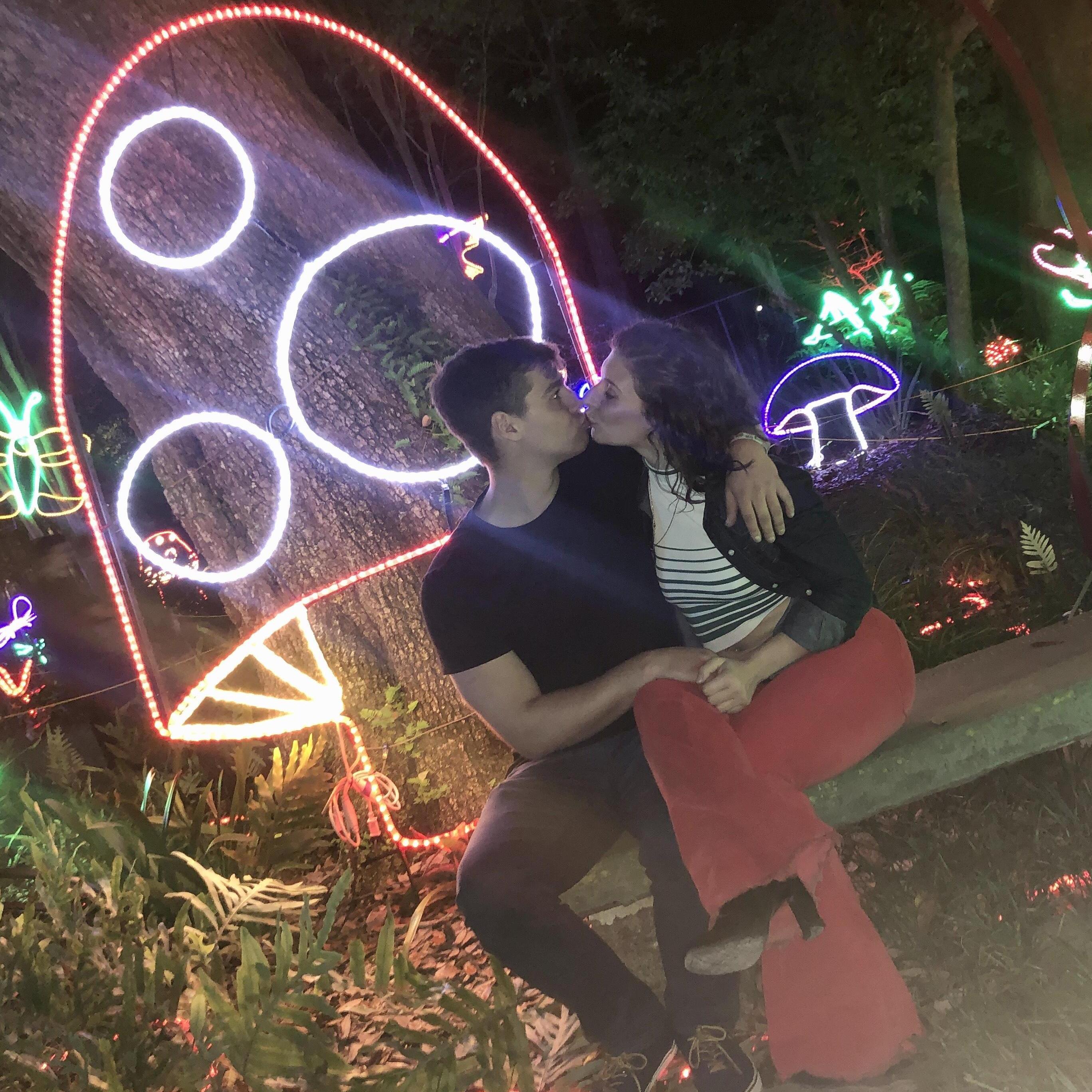 Love in the City Park, Festival of Lights