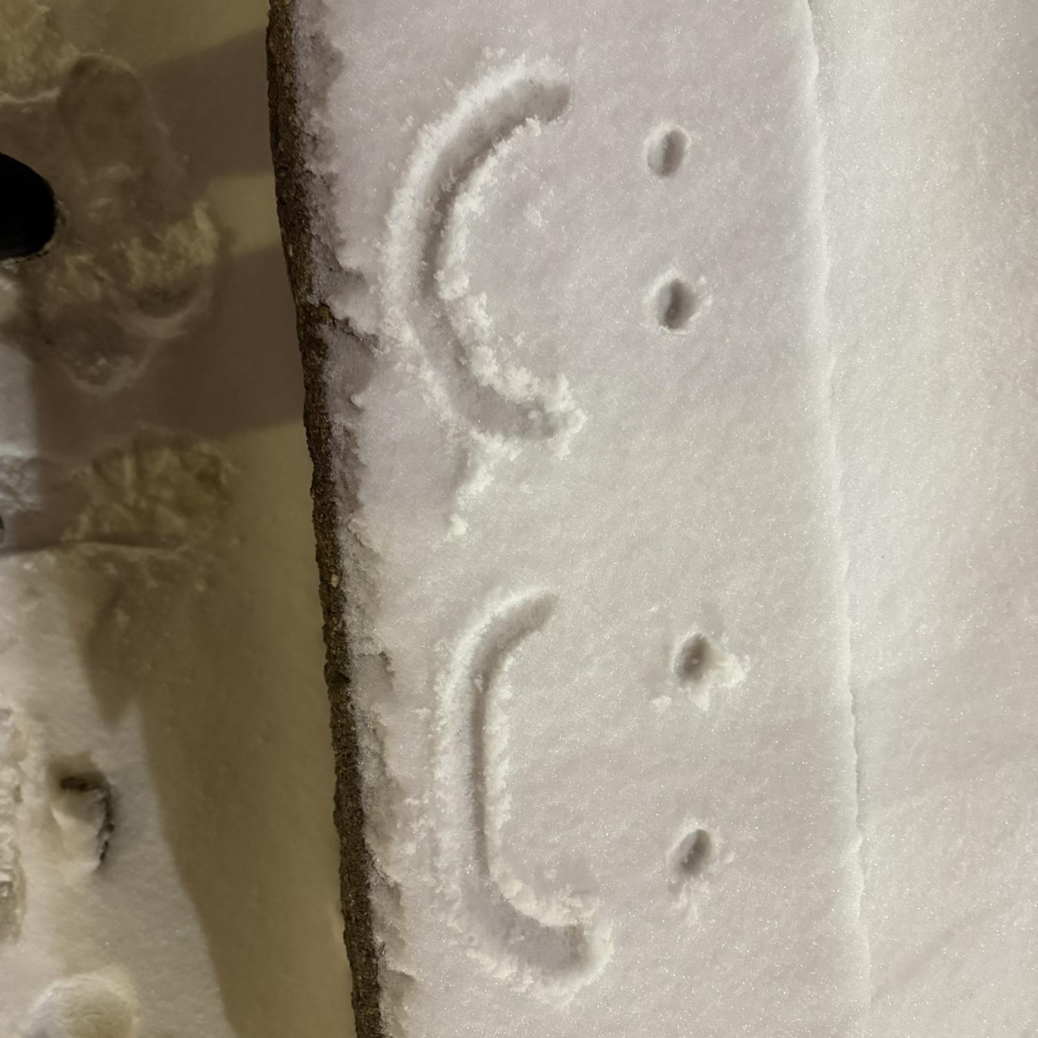 Smiley faces drawn by Michael and Ciearra // Minneapolis, Minnesota New Years trip 2025 to 2026!!