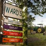Wards Berry Farm