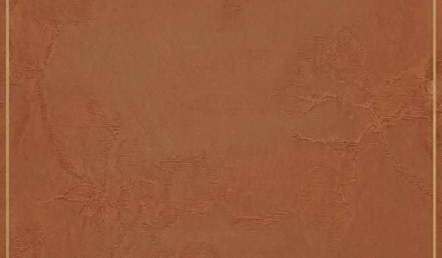 Footer image