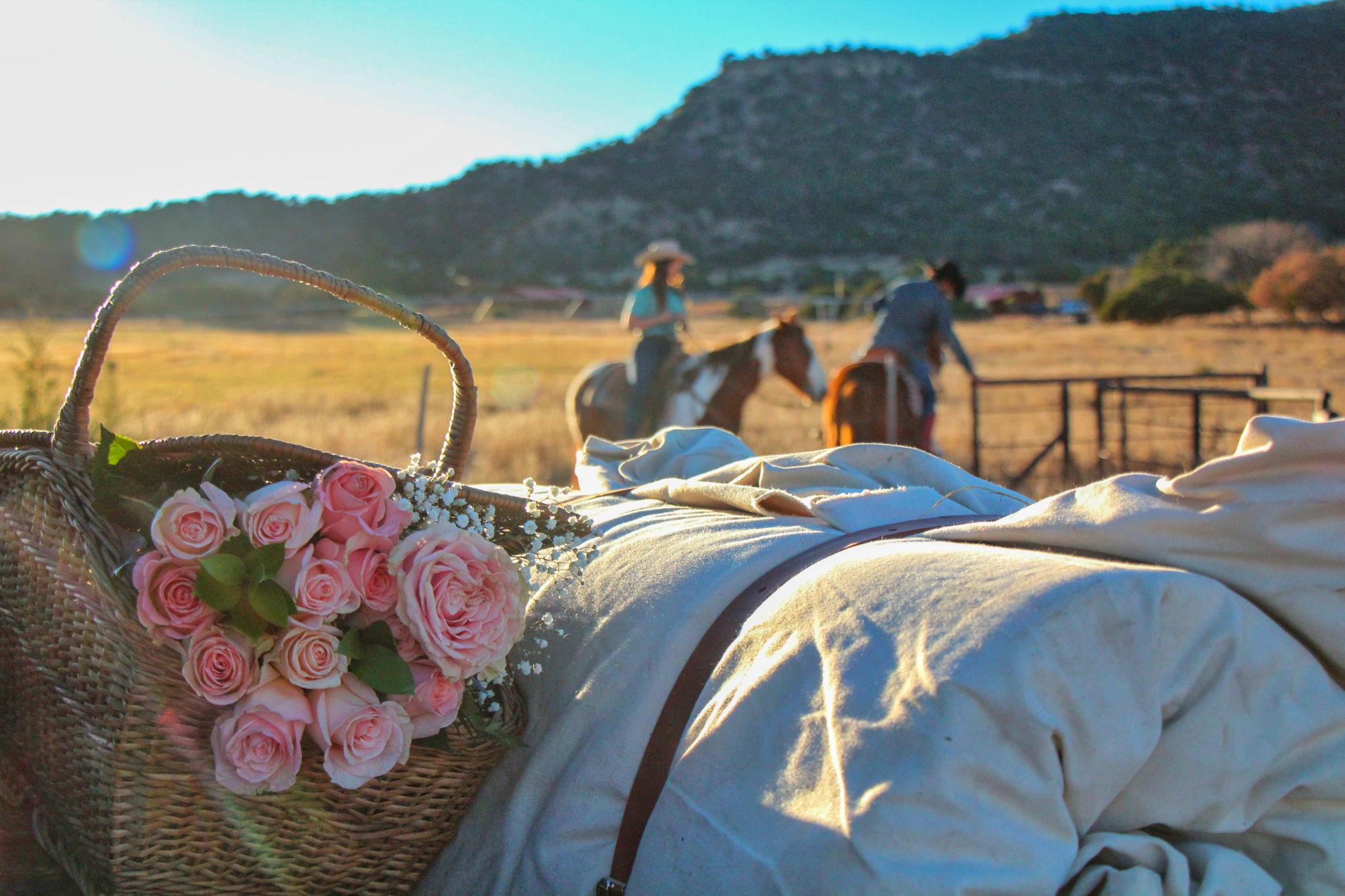 The Wedding Website of Samantha Lykon and Samuel Valentine