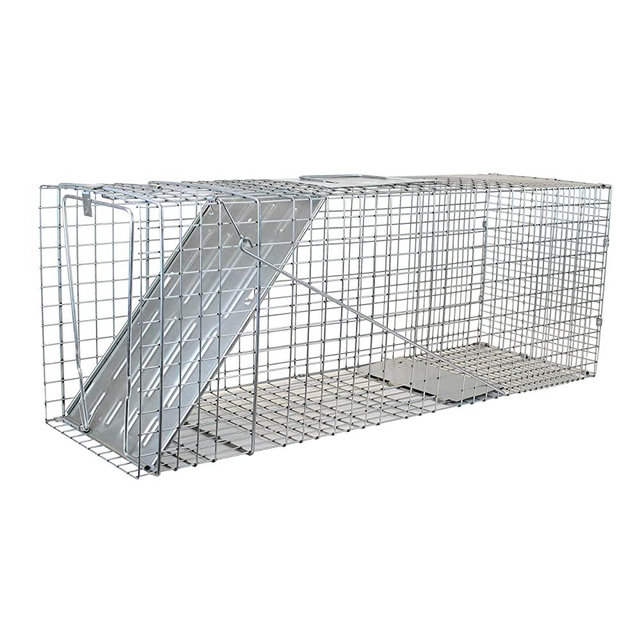 Havahart 1079 Large 1-Door Humane Animal Trap for Raccoons, Cats, Groundhogs, Opossums(Package may vary)