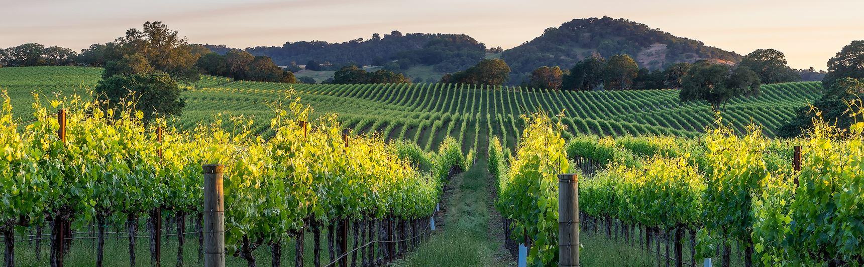 The Wedding Website of Ariana Aspelin and Gage Edwards