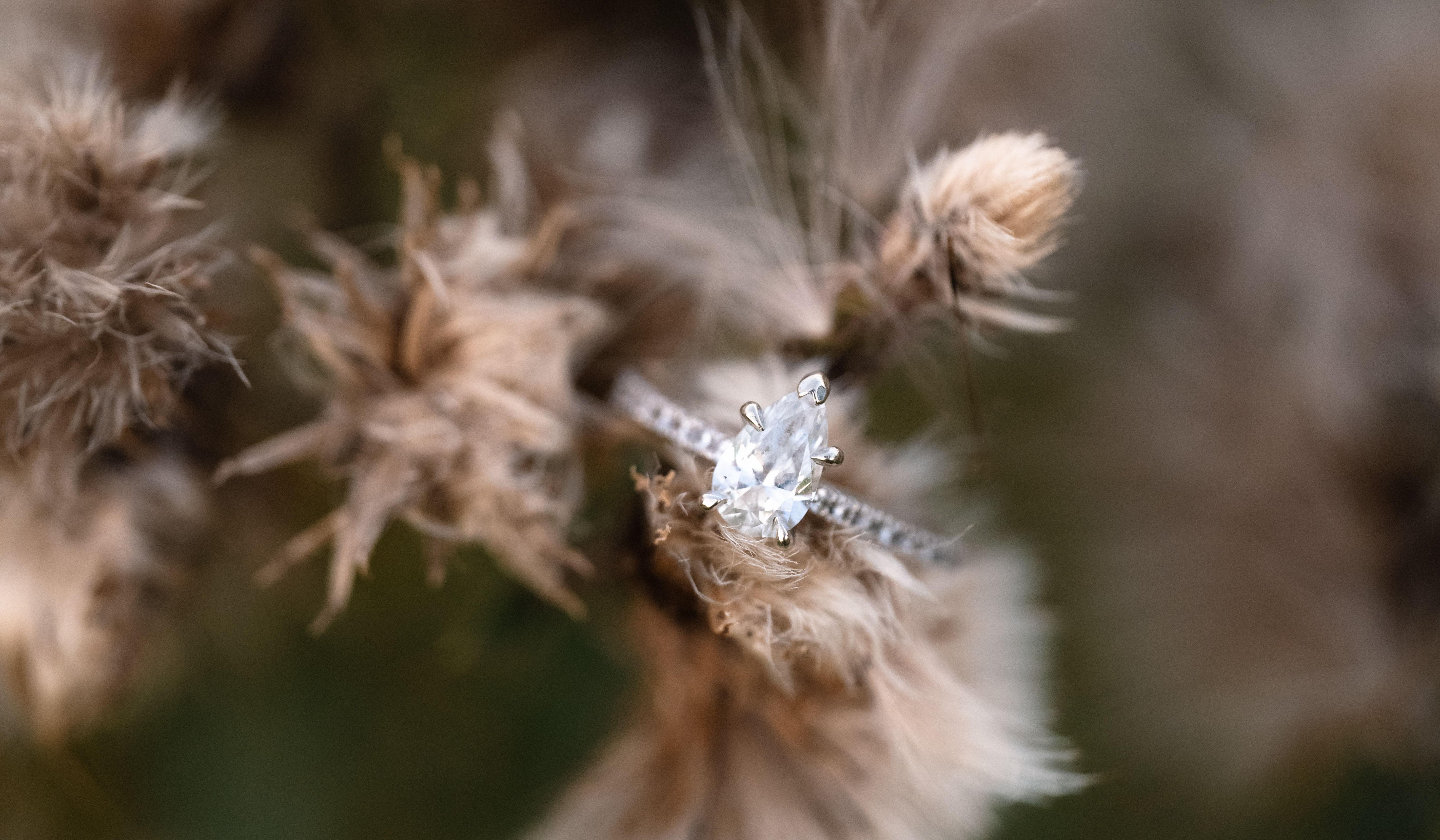 Hero Slideshow Image 1