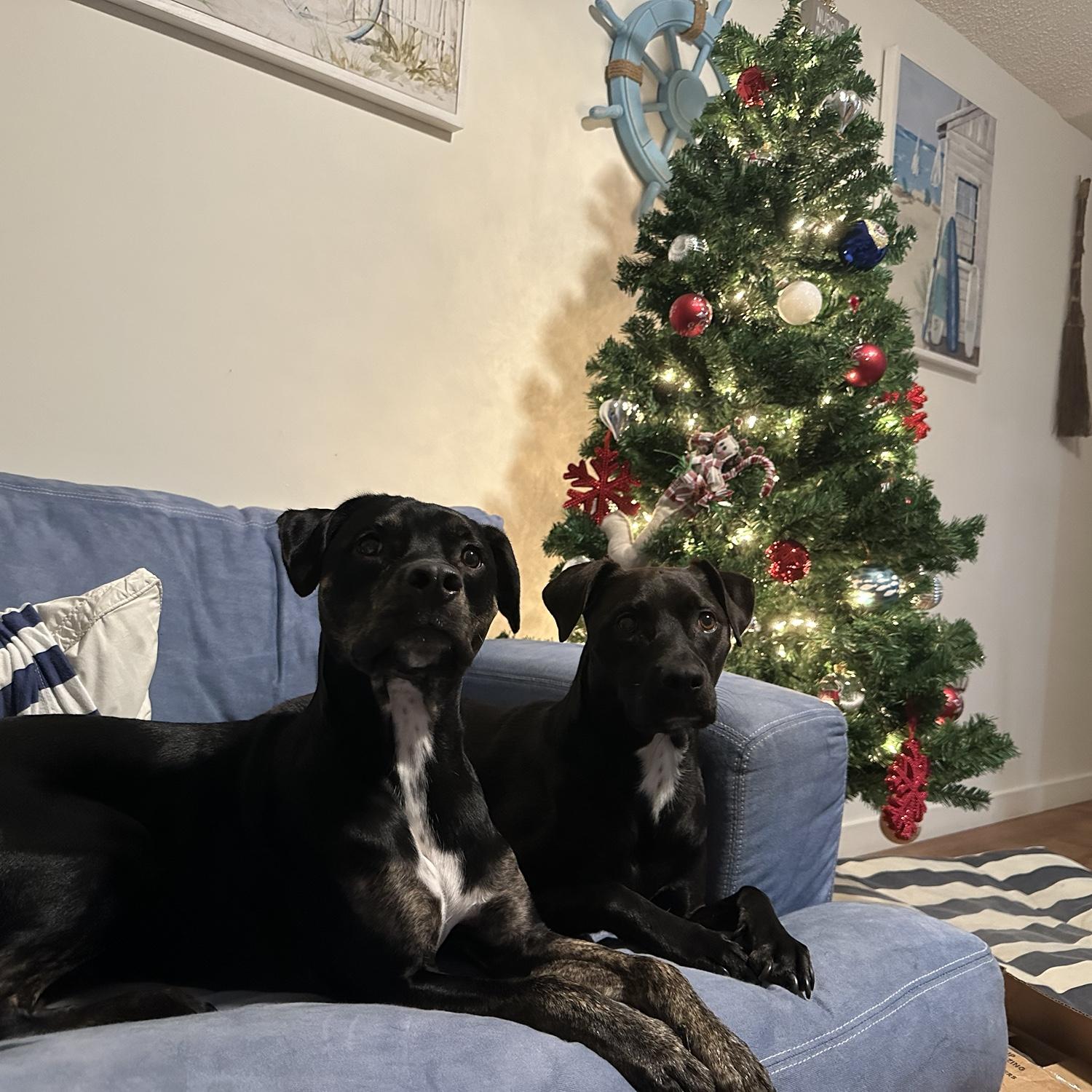 Our girls!