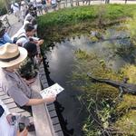 Everglades National Park