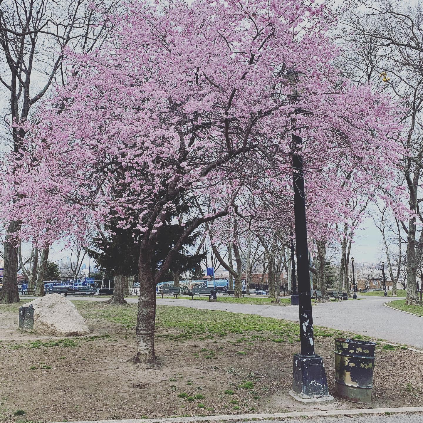 The view from where Sam proposed.